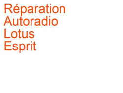 Autoradio Lotus Esprit (1974-2004)