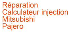 Calculateur injection Mitsubishi Pajero 3 (2000-2006) [VD/VF]