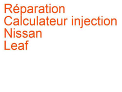 Calculateur injection Nissan Leaf (2013-2015) phase 2