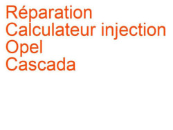 Calculateur injection Opel Cascada (2013-2019)