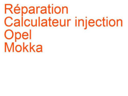 Calculateur injection Opel Mokka (2013-2016)
