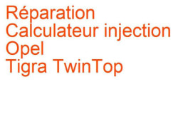 Calculateur injection Opel Tigra TwinTop (2004-2009)