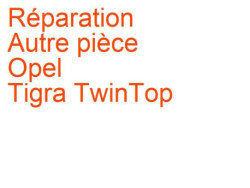 Autre pièce Opel Tigra TwinTop (2004-2009)