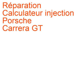 Calculateur injection Porsche Carrera GT (2003-2006)