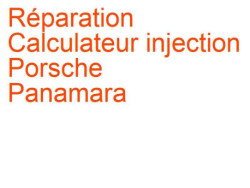 Calculateur injection Porsche Panamara 1 (2009-2016)