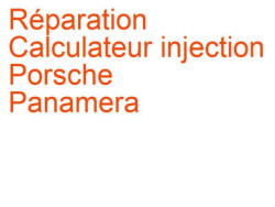 Calculateur injection Porsche Panamera 2 (2016-) [971]