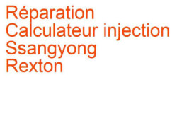 Calculateur injection Ssangyong Rexton 1 (2002-2006) phase 1