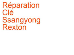 Clé Ssangyong Rexton 1 (2002-2006) phase 1