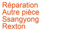 Autre pièce Ssangyong Rexton 1 (2002-2006) phase 1