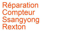 Compteur Ssangyong Rexton 1 (2006-2012) phase 2