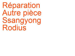 Autre pièce Ssangyong Rodius (2005-2012) phase 1