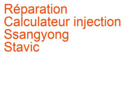 Calculateur injection Ssangyong Stavic (2004-2013)