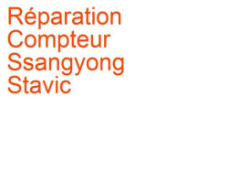 Compteur Ssangyong Stavic (2004-2013)