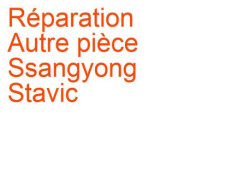 Autre pièce Ssangyong Stavic (2004-2013)