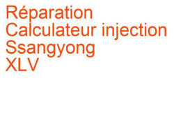 Calculateur injection Ssangyong XLV (2015-)