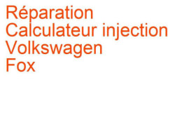 Calculateur injection Volkswagen Fox (2003-2011)