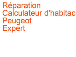 Calculateur d'habitacle BSI Peugeot Expert 1 (2004-2006) phase 2
