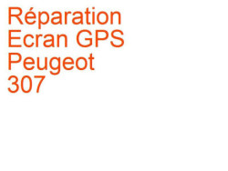 Ecran GPS Peugeot 307 (2001-2005) phase 1 Magneti Marelli EMF-DT