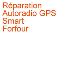 Autoradio GPS Smart Forfour 1 (2004-2006) [454]