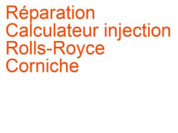 Calculateur injection Rolls-Royce Corniche 2 (1984-1989)