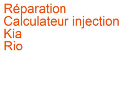 Calculateur injection Kia Rio 3 (2015-2016) phase 2
