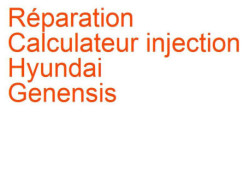 Calculateur injection Hyundai Genensis 2 (2014-)