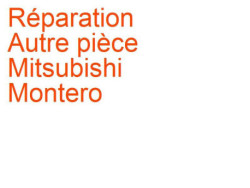 Autre pièce Mitsubishi Montero 3 (2003-2006) phase 2