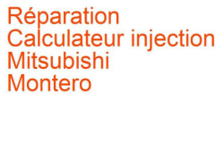 Calculateur injection Mitsubishi Montero 3 (2000-2003) phase 1
