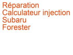 Calculateur injection Subaru Forester 3 (2008-2013)