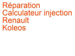 Calculateur injection Renault Koleos 1 (2008-2016) [X45] Bosch EDC16C36