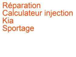 Calculateur injection Kia Sportage 3 (2014-2015) phase 2