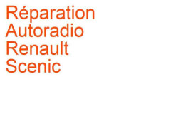 Autoradio Renault Scenic 2 (2003-2009) Blaupunkt R2 X95 V2 HMI simp