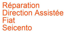 Direction Assistée Fiat Seicento (2000-2005) [187] phase 2