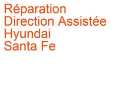Direction Assistée Hyundai Santa Fe 1 (2000-2006) [SM]