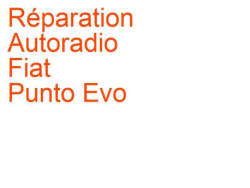 Autoradio Fiat Punto Evo 3 (2009-2012) [Evo]