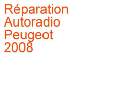 Autoradio Peugeot 2008 1 (2013-2019) Pioneer RDE