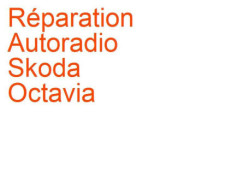 Autoradio Skoda Octavia 2 (2004-2013) Technisat Dance
