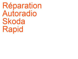 Autoradio Skoda Rapid (2011-) Blaupunkt Bolero