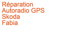 Autoradio GPS Skoda Fabia 1 (1999-2007) Blaupunkt Amundsen