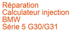 Calculateur injection BMW Série 5 G30/G31 (2016-)