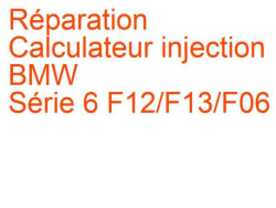 Calculateur injection BMW Série 6 F12/F13/F06 (2011-2017)