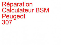 Calculateur BSM Peugeot 307 (2005-2008) [MPE] phase 2 Delphi BSM-L11