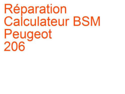 Calculateur BSM Peugeot 206 (2001-2009) phase 2