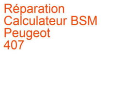 Calculateur BSM Peugeot 407 (2004-2008)