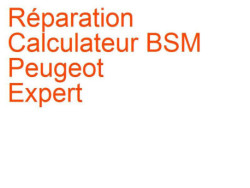 Calculateur BSM Peugeot Expert 1 (2004-2006) phase 2