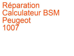 Calculateur BSM Peugeot 1007 (2005-2009) [KM]