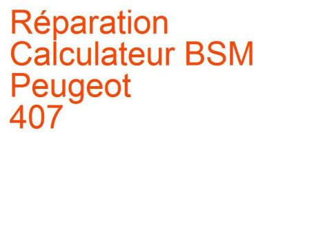 Calculateur BSM Peugeot 407 (2008-2011)