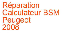 Calculateur BSM Peugeot 2008 1 (2013-2019)