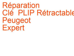 Clé PLIP Rétractable Peugeot Expert 1 (2004-2006) phase 2