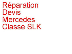 Devis Mercedes Classe SLK (2004-2010) [R171]